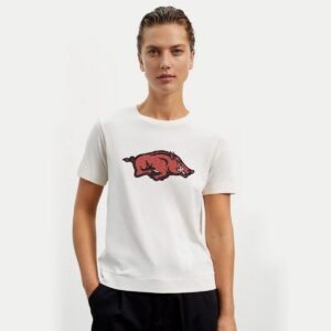 Angry Pig Machine Embroidery Pattern