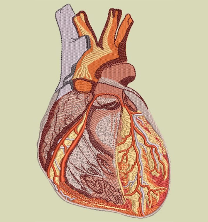 Corporate Logo Embroidery Digitizing after